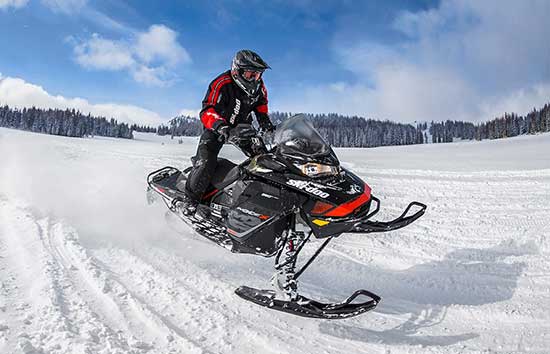 2017-MXZ-850-E-TEC-REV-G4