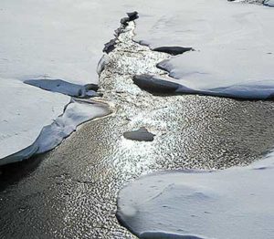Water on a snowmobile trail